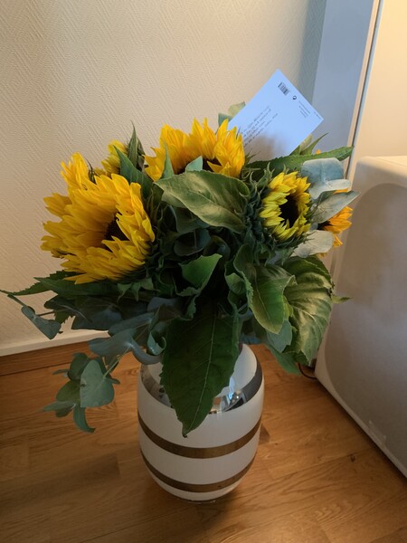 Klikk for å se forhåndsvisning