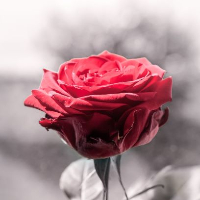 Gunvor Johanne Svendsen